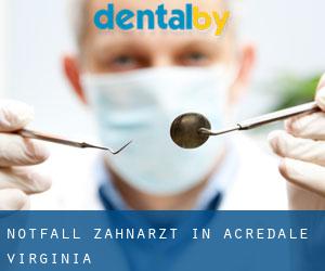 Notfall-Zahnarzt in Acredale (Virginia)