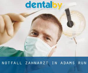 Notfall-Zahnarzt in Adams Run