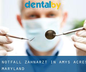 Notfall-Zahnarzt in Amys Acres (Maryland)