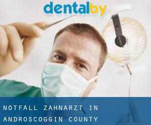 Notfall-Zahnarzt in Androscoggin County