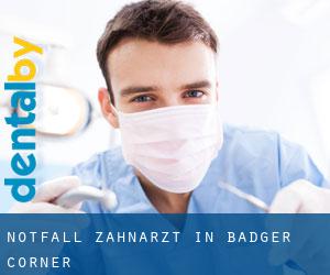 Notfall-Zahnarzt in Badger Corner