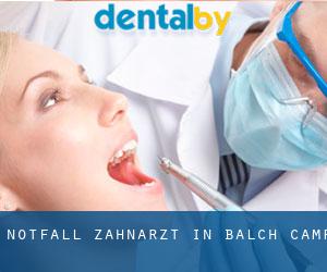 Notfall-Zahnarzt in Balch Camp