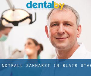 Notfall-Zahnarzt in Blair (Utah)