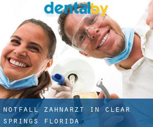 Notfall-Zahnarzt in Clear Springs (Florida)