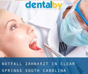 Notfall-Zahnarzt in Clear Springs (South Carolina)