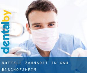 Notfall-Zahnarzt in Gau-Bischofsheim