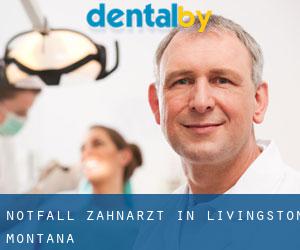 Notfall-Zahnarzt in Livingston (Montana)