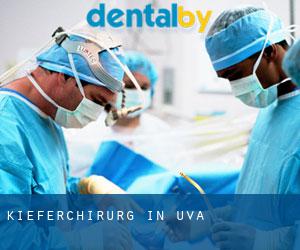Kieferchirurg in Uva