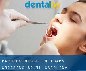 Parodontologe in Adams Crossing (South Carolina)