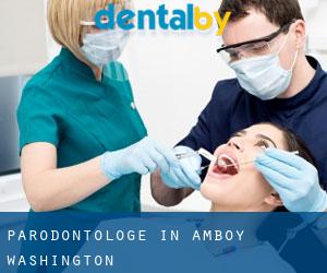 Parodontologe in Amboy (Washington)