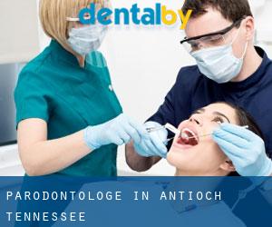 Parodontologe in Antioch (Tennessee)