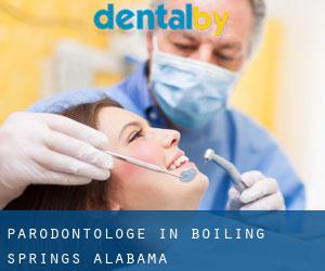Parodontologe in Boiling Springs (Alabama)