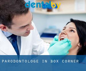 Parodontologe in Box Corner