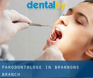 Parodontologe in Brannons Branch