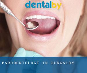 Parodontologe in Bungalow