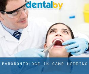 Parodontologe in Camp Hedding