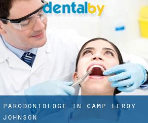 Parodontologe in Camp Leroy Johnson