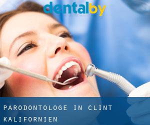 Parodontologe in Clint (Kalifornien)