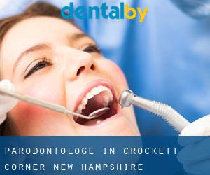 Parodontologe in Crockett Corner (New Hampshire)