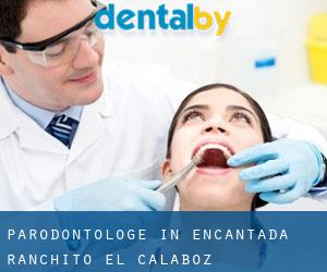 Parodontologe in Encantada-Ranchito-El Calaboz
