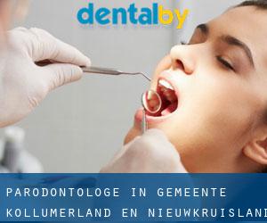 Parodontologe in Gemeente Kollumerland en Nieuwkruisland