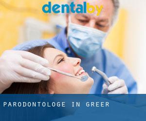 Parodontologe in Greer