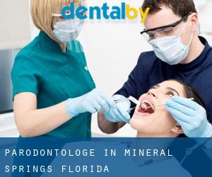 Parodontologe in Mineral Springs (Florida)
