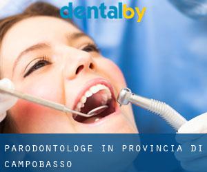 Parodontologe in Provincia di Campobasso