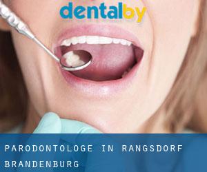 Parodontologe in Rangsdorf (Brandenburg)