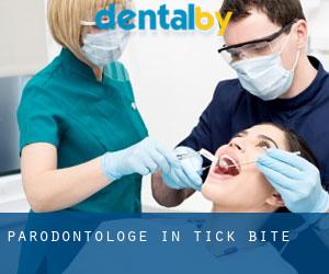 Parodontologe in Tick Bite