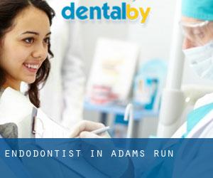 Endodontist in Adams Run