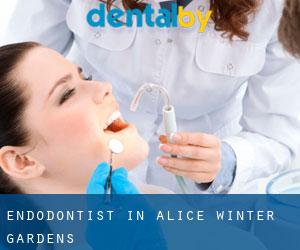 Endodontist in Alice Winter Gardens