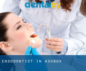 Endodontist in Ashbox