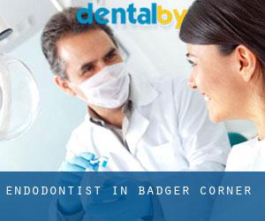 Endodontist in Badger Corner