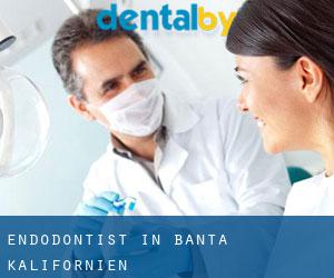 Endodontist in Banta (Kalifornien)
