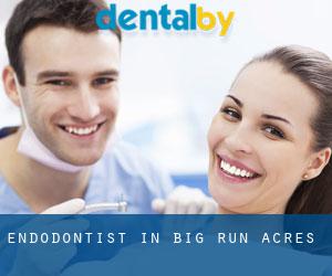 Endodontist in Big Run Acres