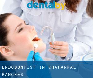 Endodontist in Chaparral Ranches