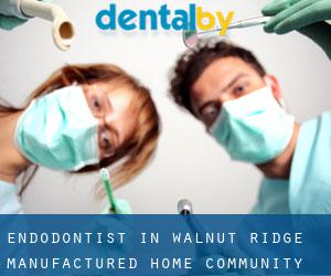 Endodontist in Walnut Ridge Manufactured Home Community