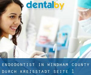 Endodontist in Windham County durch kreisstadt - Seite 1