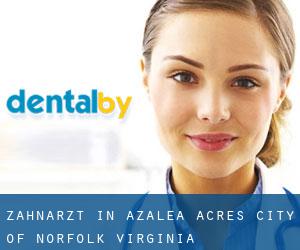 zahnarzt in Azalea Acres (City of Norfolk, Virginia)