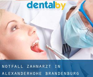 Notfall-Zahnarzt in Alexanderhöhe (Brandenburg)