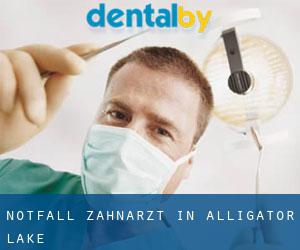 Notfall-Zahnarzt in Alligator Lake