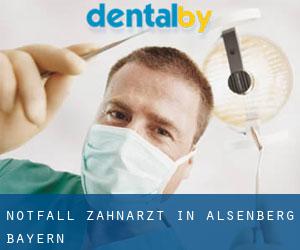 Notfall-Zahnarzt in Alsenberg (Bayern)
