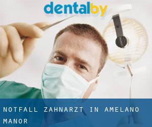 Notfall-Zahnarzt in Amelano Manor