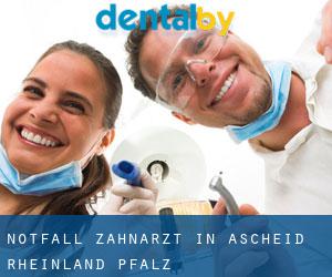 Notfall-Zahnarzt in Ascheid (Rheinland-Pfalz)
