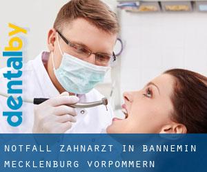 Notfall-Zahnarzt in Bannemin (Mecklenburg-Vorpommern)