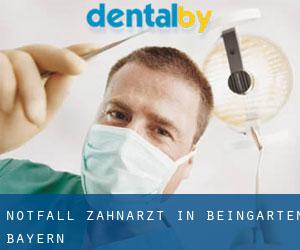 Notfall-Zahnarzt in Beingarten (Bayern)