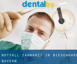 Notfall-Zahnarzt in Biesenhard (Bayern)