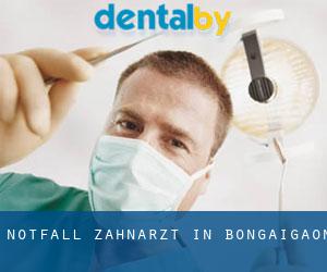 Notfall-Zahnarzt in Bongaigaon Notfall-Zahnarzt in Bongaigaon