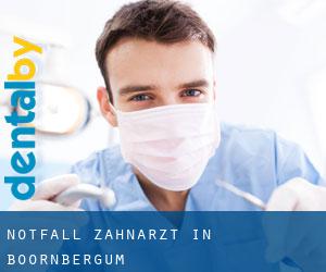 Notfall-Zahnarzt in Boornbergum